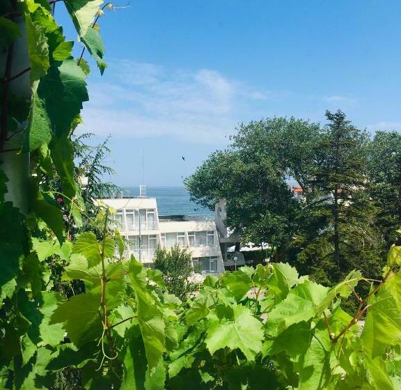 بنسيون Guest House Barbov