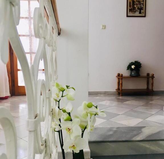 بنسيون Guest House Barbov