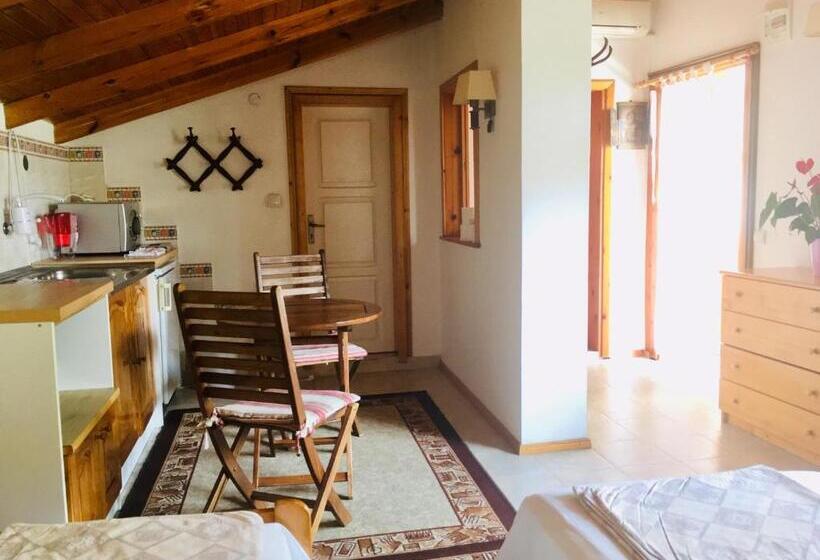 بنسيون Guest House Barbov