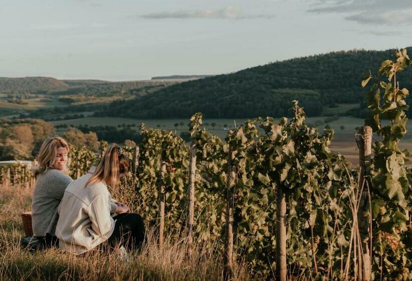 ペンション Weingut Und Gästehaus Holger Alt