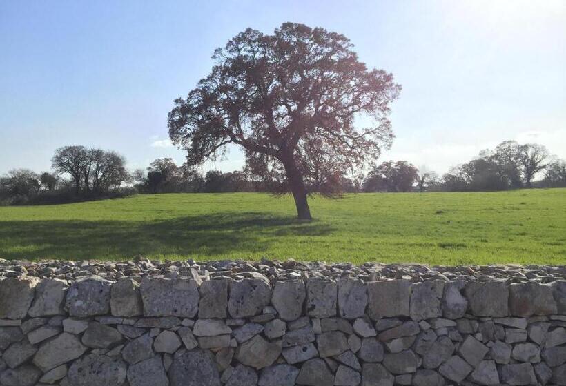تختخواب و صبحانه Villa Enea Monopoli