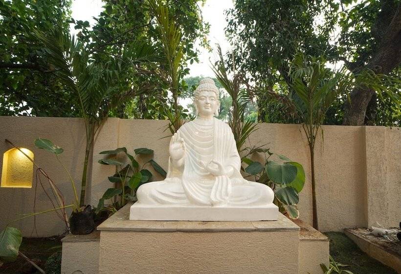 Hotel Treehouse Mars Beach Cottages