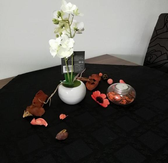 Apartmani Nana Sokobanja