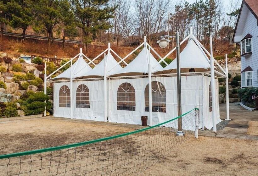 فندق Palsecjo Pension