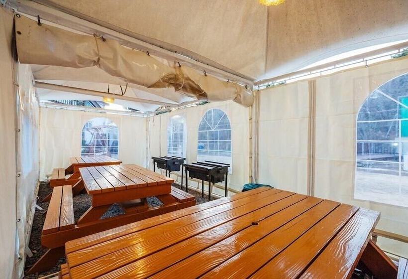 فندق Palsecjo Pension