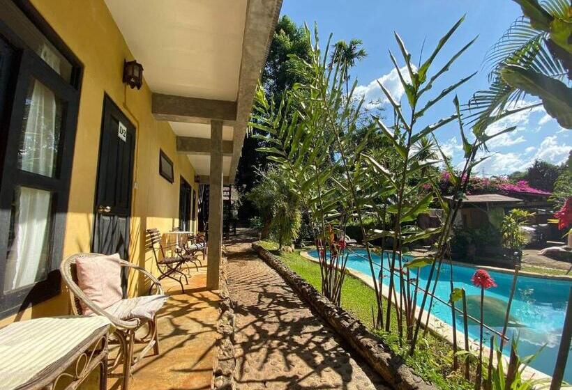 هتل Little Eden Guesthouse