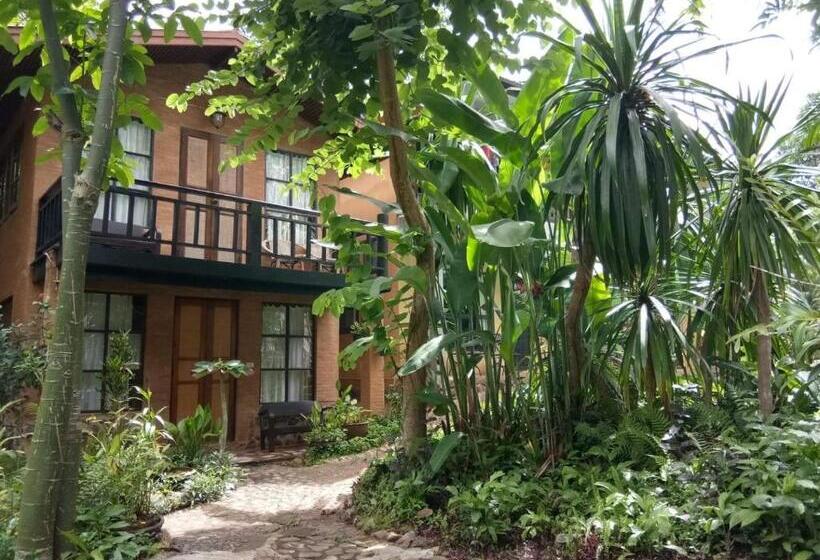 هتل Little Eden Guesthouse