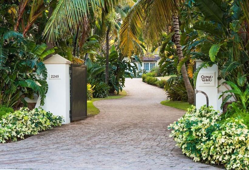 فندق Coconut Walk