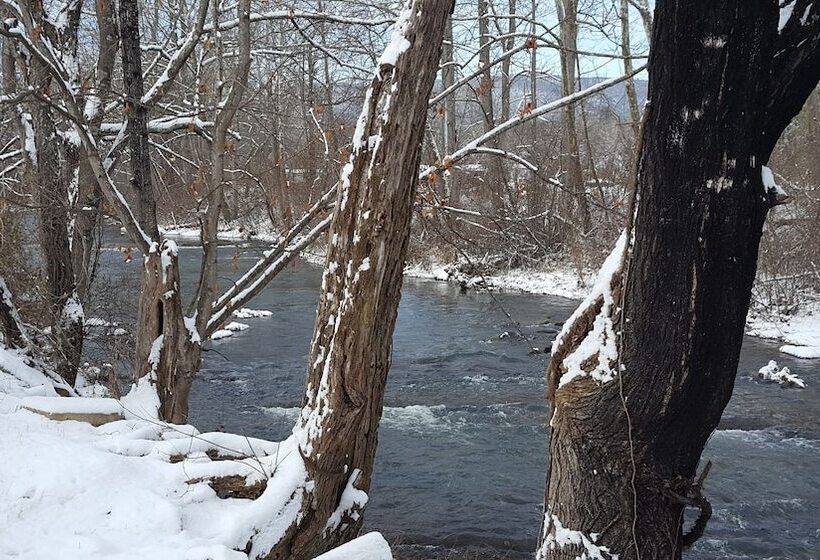 住宿加早餐  Hummingbird Inn