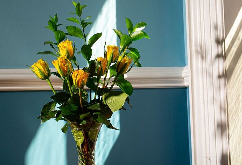 مبيت وإفطار Rosemont Inn