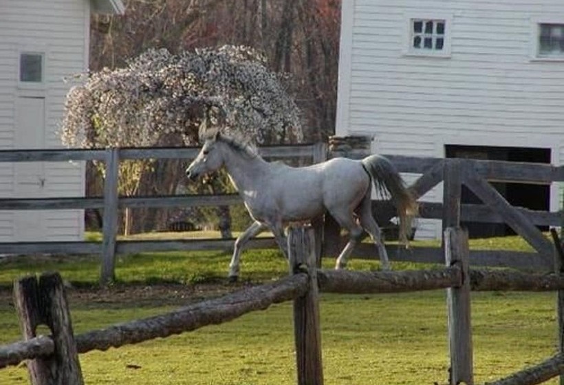 민박 The Inn On The Horse Farm
