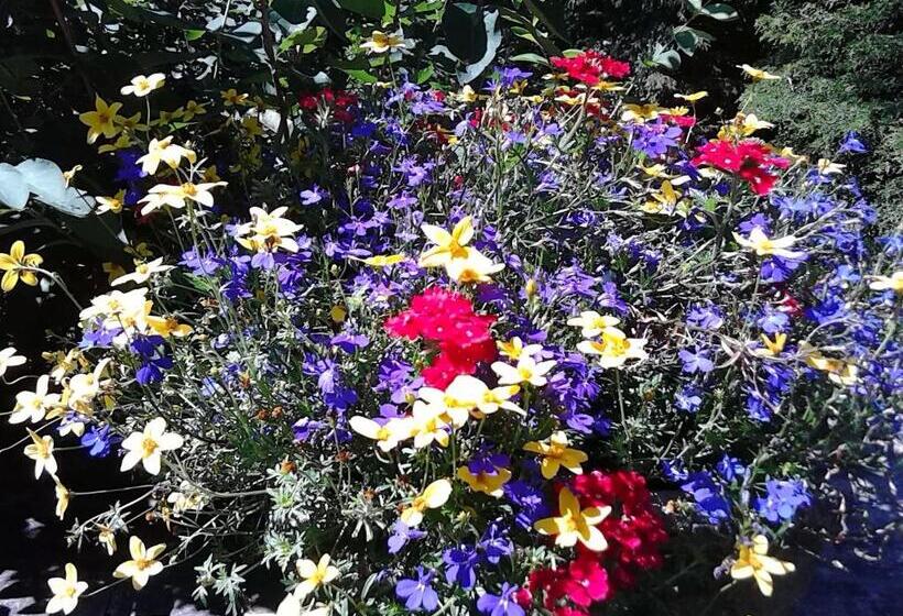 تختخواب و صبحانه Whistler's Inn