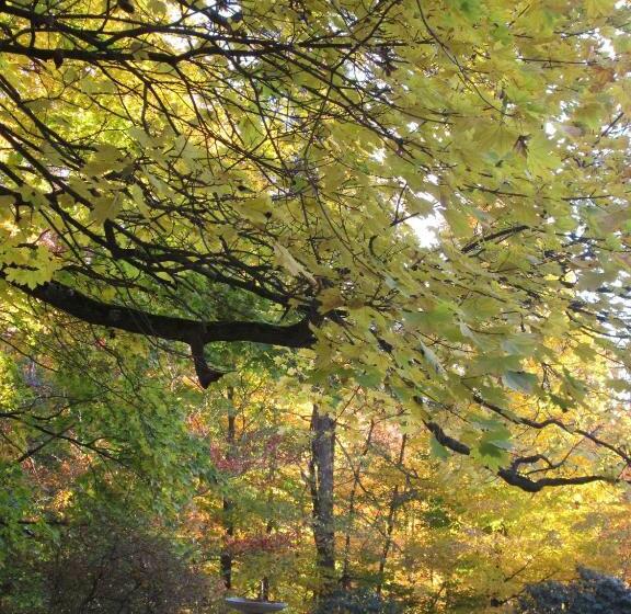 تختخواب و صبحانه Whistler's Inn