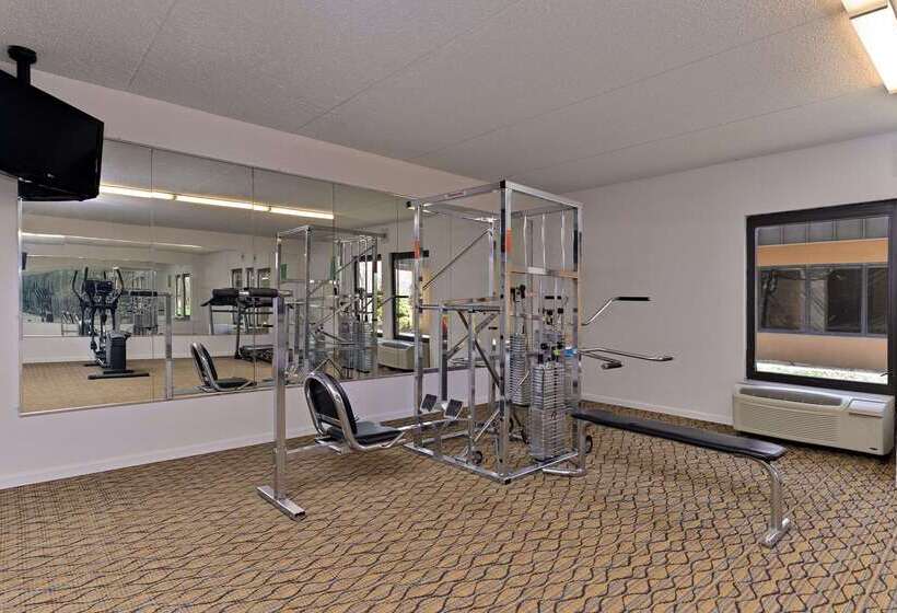 Отель Quality Inn & Suites Matteson Near I57