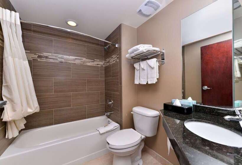 Отель Quality Inn & Suites Matteson Near I57