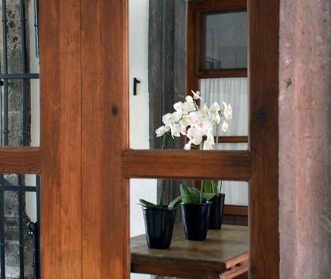 تختخواب و صبحانه Casa De Los Olivos