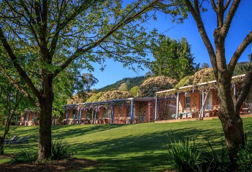 Bright Mystic Valley