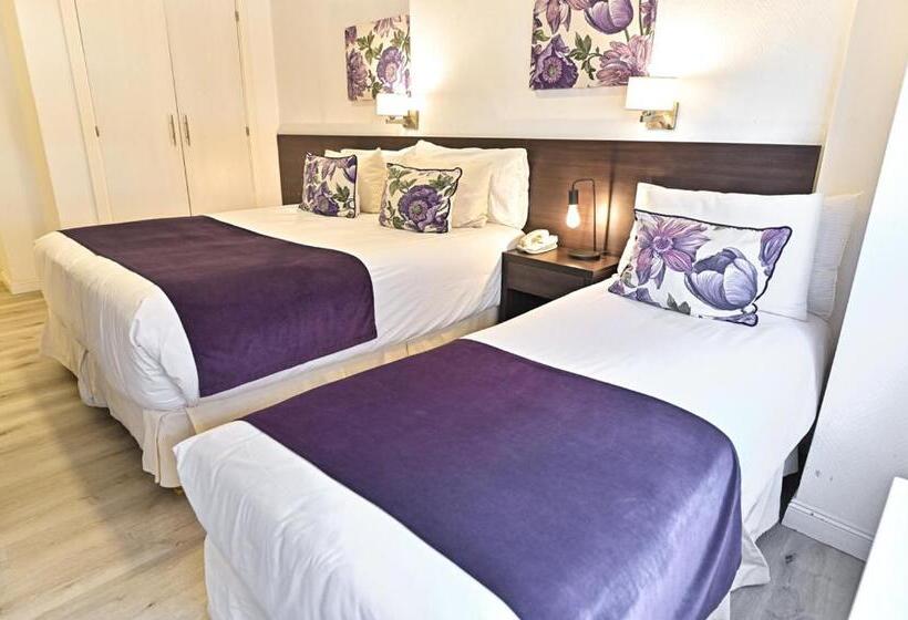 هتل Denver Mar Del Plata