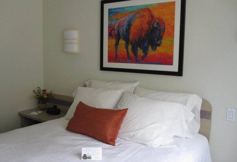 فندق على الطريق Buffalo Inn