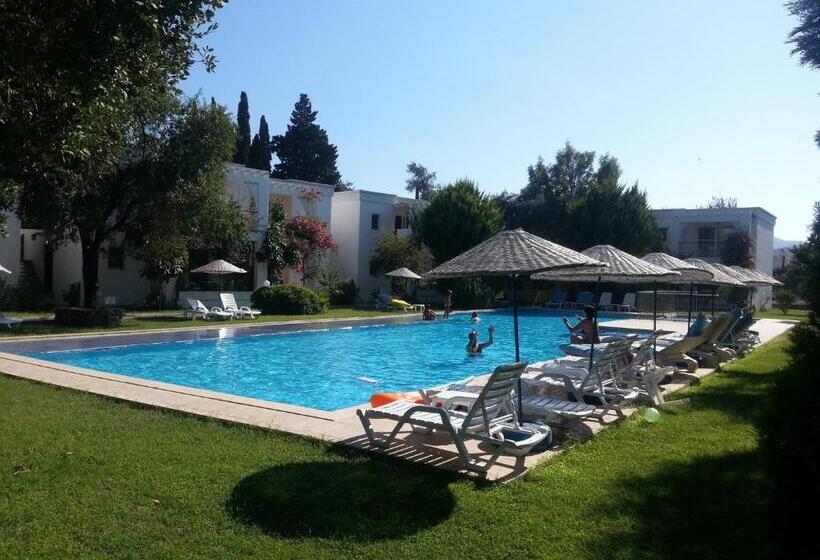 Muskebi Apart Otel