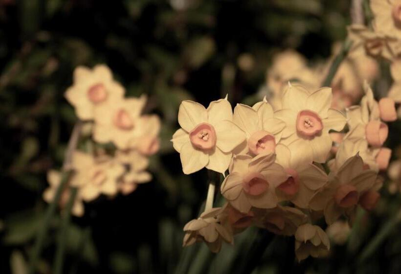 פנסיון Walton House