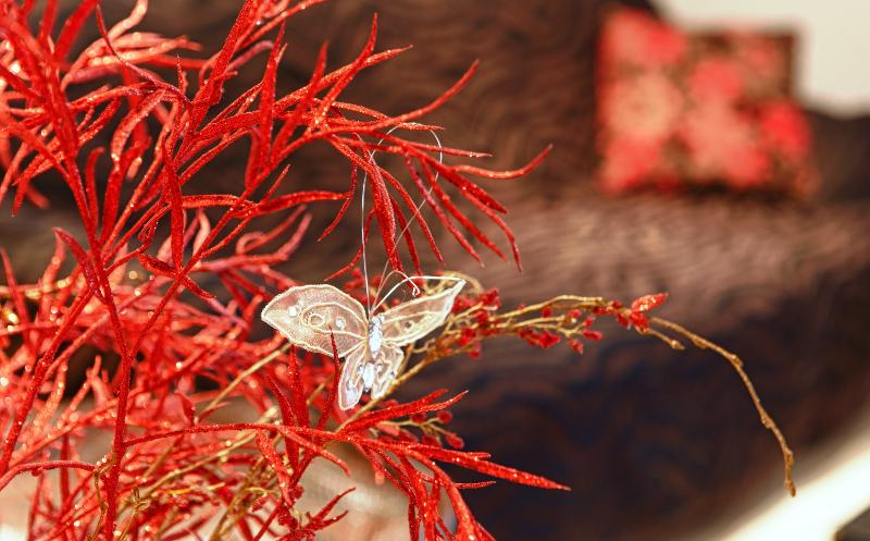 Stella Paradise By Checkin