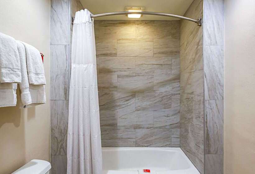 酒店 Econo Lodge San Bernardino I  215