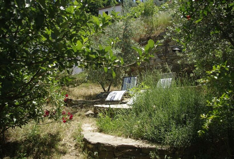 پانسیون Terrace Houses Sirince   Fig, Olive Clockmakers And Grapevine