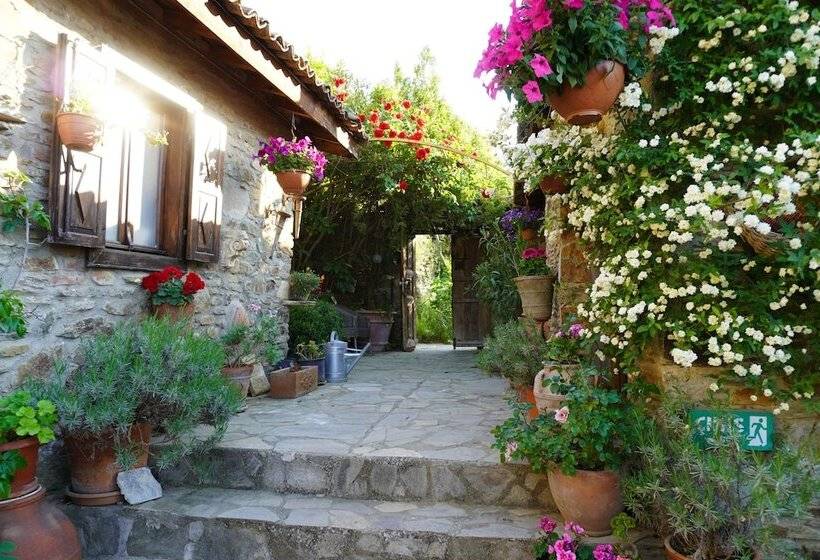 پانسیون Terrace Houses Sirince   Fig, Olive Clockmakers And Grapevine