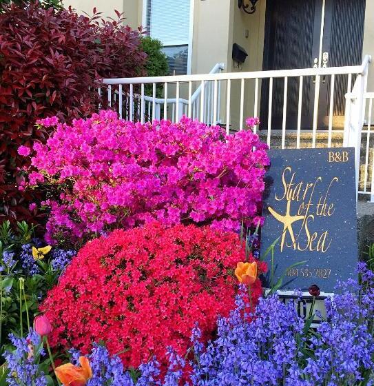 住宿加早餐  Star Of The Sea Guest House