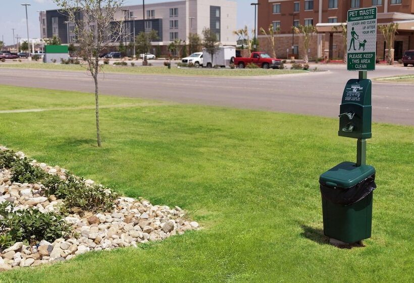 هتل Home2 Suites By Hilton San Angelo