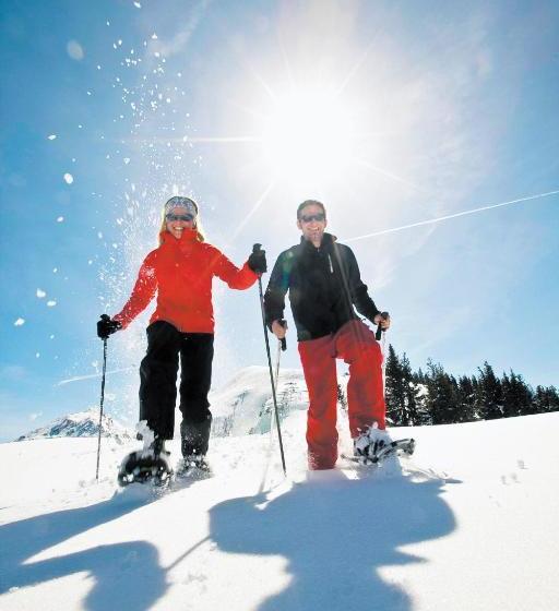 בית מלון כפרי Schloss Thannegg