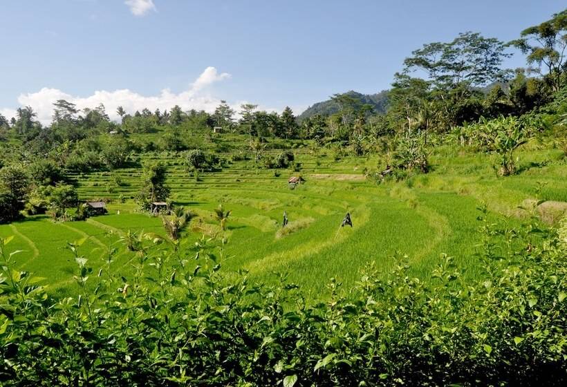 호텔 Subak Tabola Villa