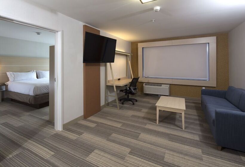 هتل Holiday Inn Express & Suites Port Huron, An Ihg