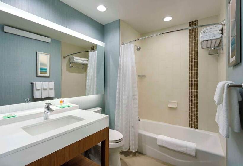 호텔 Hyatt Place Chicago/downtown The Loop