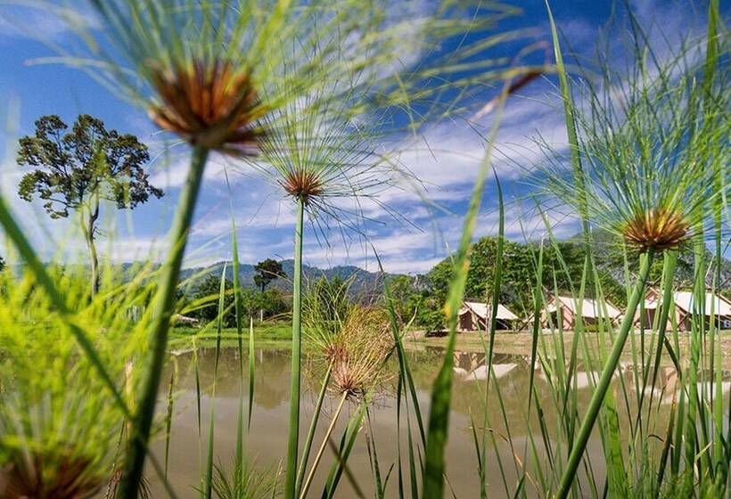 هتل Lala Mukha Tented Resort Khao Yai