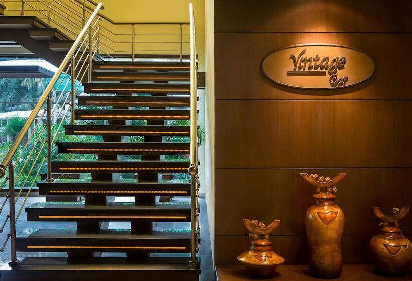 فندق Mountview