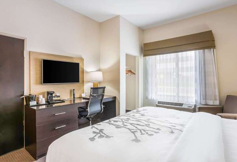 בית מלון כפרי Sleep Inn & Suites Hannibal