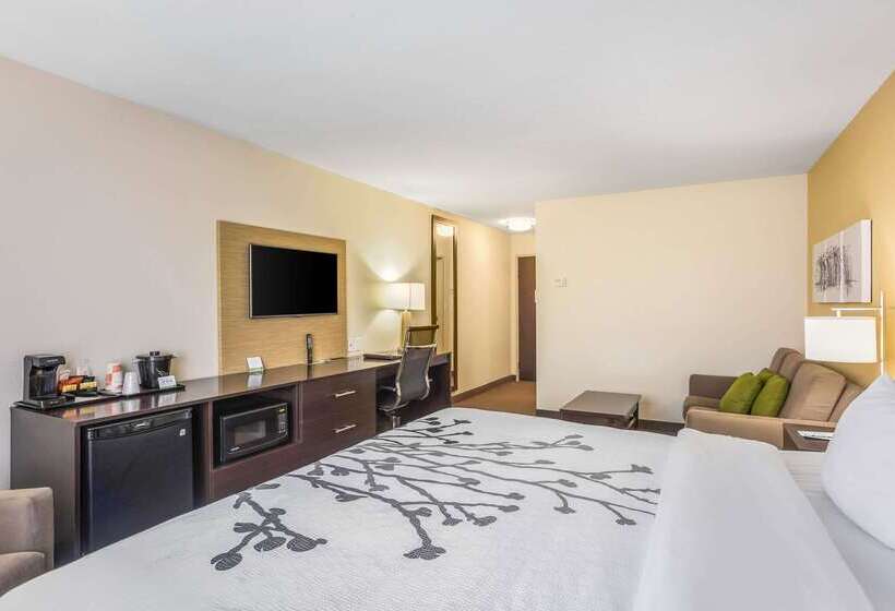 בית מלון כפרי Sleep Inn & Suites Hannibal