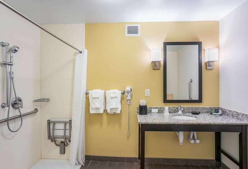 בית מלון כפרי Sleep Inn & Suites Hannibal