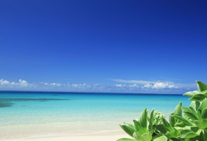 ホテル The Shigira