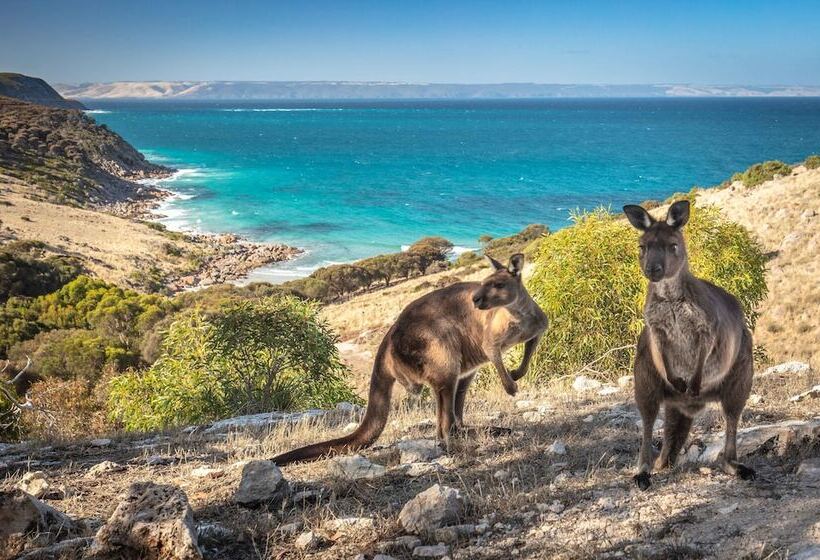 مبيت وإفطار Sea Dragon Kangaroo Island