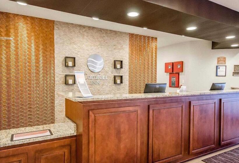 فندق Comfort Inn
