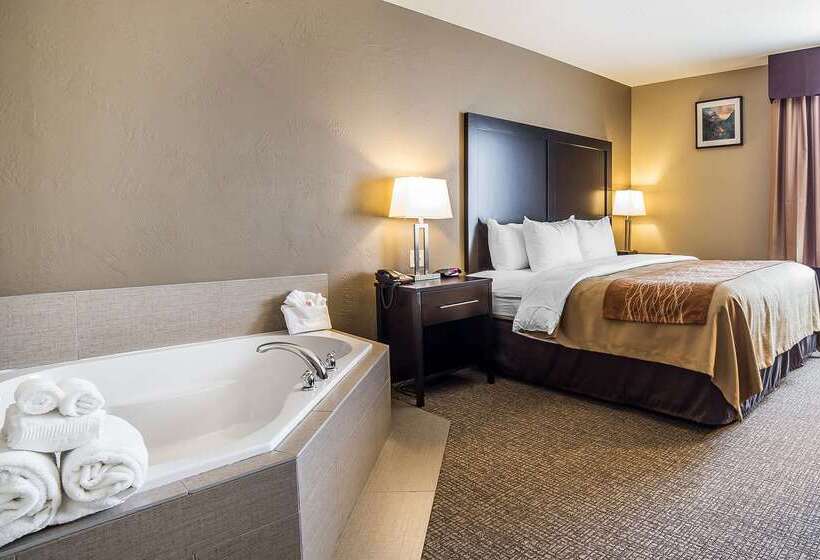 酒店 Comfort Inn & Suites Vernal National Monument Area