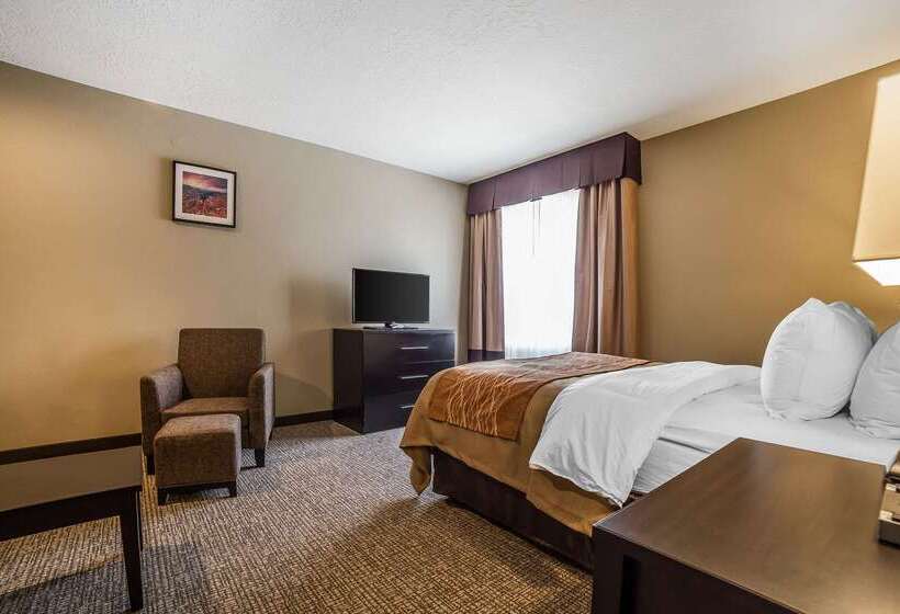 酒店 Comfort Inn & Suites Vernal National Monument Area