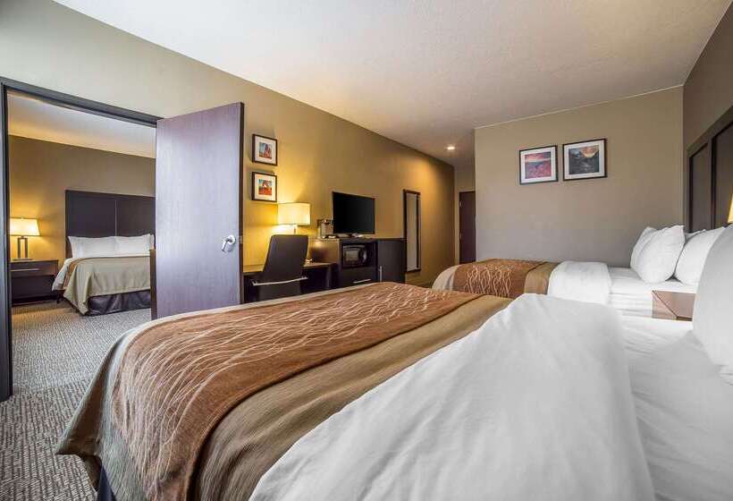 酒店 Comfort Inn & Suites Vernal National Monument Area