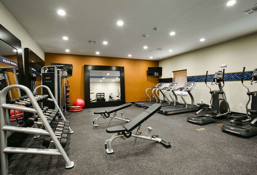 هتل Hampton Inn & Suites Dallas/ft. Worth Airport South