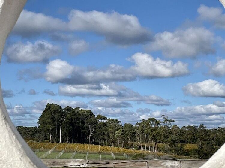 فندق Rosewood Guesthouse