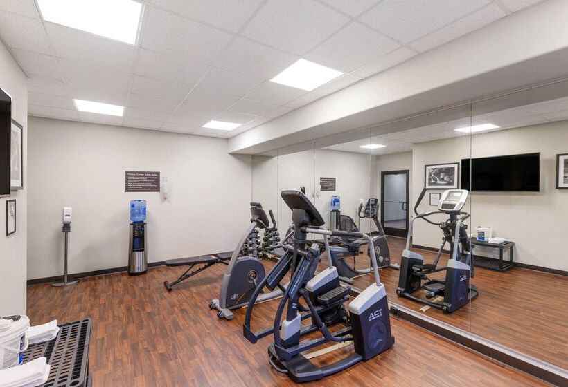 فندق Sleep Inn & Suites Carlsbad Caverns Area