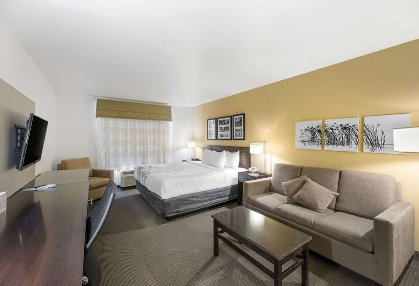 فندق Sleep Inn & Suites Carlsbad Caverns Area